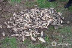 На Вінниччині викрили браконьєрів: збитки перевищили 7 мільйонів гривень