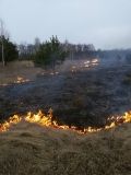 Попри застороги рятувальників, жителі Вінниччини продовжують спалювати суху траву