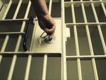 У Житомирській області поліція викрила злодія