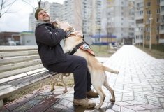 Кудлатий друг героя. Як собаки реабілітують ветеранів АТО