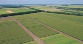 У власність держави повертають більше двохсот гектарів землі на Вінниччині