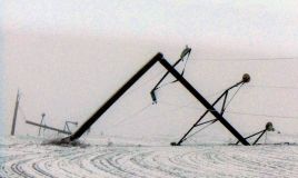 Ветер сломал сотни электроопор в Одесской области как спички (фото)