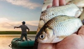 На Вінниччині завершився нерестовий період, однак частина обмежень для рибалок ще діє