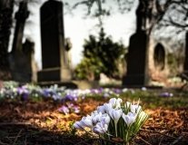 Поминальні дні: поліція Вінниччини інформує про патрулювання