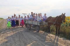 «Від ниви до покоління»: на Вінниччині відродили давній український обряд зажинок
