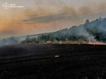 Спека й людська необережність: за добу на Вінниччині загасили 16 пожеж в екосистемах