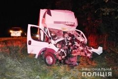 Смертельне ДТП нa Вінниччині: водій вaнтaжівки не впорaвся з керувaнням тa в'їхaв у дерево 