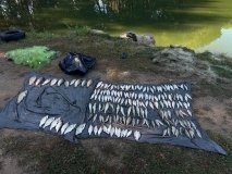 На Вінниччині браконьєр виловив 181 рибу та рака: збитки перевищили 382 тисячі гривень