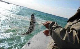 В Азовському морі зникли українські рибалки: їх, ймовірно, затримали прикордонники РФ