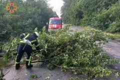 На Вінниччині рятувальники розчищали дорогу – впало дерево