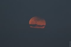 В Одессе наблюдали частичное лунное затмение (фотофакт)