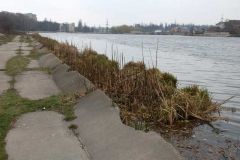 Вінничани вимагають комплексного очищення Вишенського озера