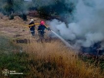 На Вінниччині через необережність двічі горіли відкриті території: рятувальники закликають не палити сухостій