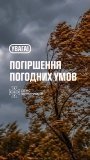 На Вінниччині 24 вересня очікують сильний вітер: оголошено жовтий рівень небезпеки