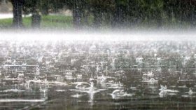 Синоптики попереджають про підвищену туманність та дощ 4 вересня у Вінницькій області