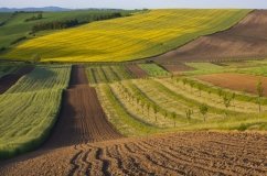 Земельна ділянка на Вінниччині перейшла від приватної особи до Міністерства оборони