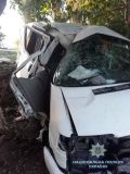 На Київщині автомобіль врізався в дерево. Загинув чоловік, двоє дітей – у лікарні (Фото)