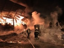 На Харківщині сталася масштабна пожежа на підприємстві (Фото)