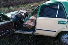 ДТП на Вінниччині: «Жигулі» в’їхали в дерево (фото)