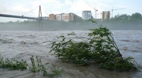 Негода в Україні знеструмила 339 населених пунктів у восьми областях