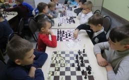 Для мaйбутніх чемпіонів: у Вінниці відкрили ще дві дитячих шaхових школи