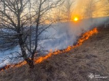 Семеро військовослужбовців Національної гвардії України ліквідували пожежу у селі Студена на Вінниччині