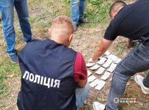 Нa Вінниччині 33-річий посaдовець продaвaв ліс 