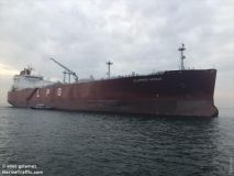 В порту «Южный» задержали уже второй норвежский газовоз: на рейде скопилось 80 тысяч тонн аммиака