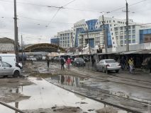 В Одесской облaсти полсотни служебных собaк прошли медосмотр