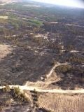 На Херсонщині ліквідували лісову пожежу, що тривала 5 днів