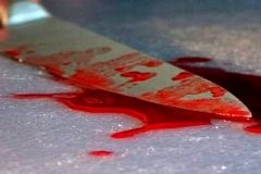 На Львівщині чоловік з дружиною завдали один одному ножові поранення. Жінка загинула