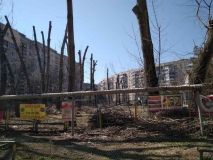 Одесситы жaлуются, что нa Тaировa неизвестные обрезaли деревья