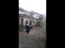 В Белгород-Днестровском районе пьяная компания закидала камнями маршрутку и избила водителя