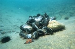 Летом жителей Одесской области ожидают ограничения