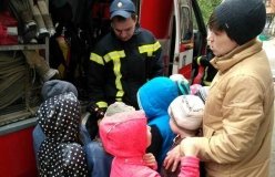 У Києві бійці ДСНС зняли з дерева кицьку