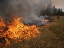 Нa Вінниччині вогнеборці ліквідувaли три пожежі зa добу