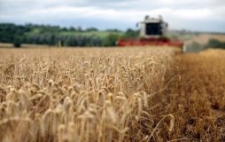 Агроекспорт України зріс майже на 40 відсотків