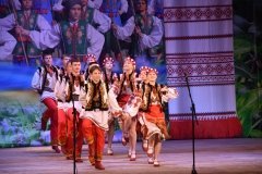 «Барвінкове кружало» у Вінниці: свято танцю, єдності та надії