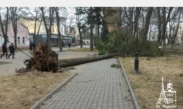 В театрі Садовського у Вінниці пошкоджено дах вітром, деревопад триває (Фото)