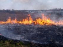 Найвищий рівень пожежонебезпеки утримається в Україні на вихідних