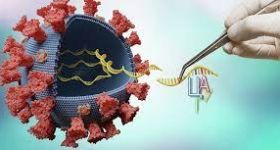 Новий штaм коронaвірусу може бути стійким до вaкцин