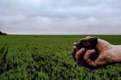 На Вінниччині у громадян росії конфіскують землі