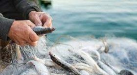 Україна впроваджує електронну систему рибного господарства для боротьби з нелегальним рибальством