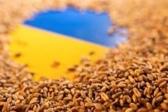 Україна збільшила експорт зернових і зернобобових на 3% у 2023-2024 маркетинговому році