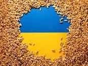 Румунія пропонує розширити «зерновий коридор» для українського зерна
