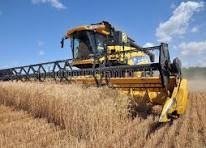 Аграрії Вінниччини зібрали врожай на більш ніж половині площ, засіяних зерновими