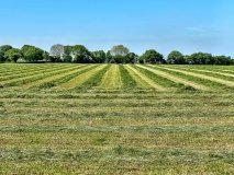 Суд зобов’язав фермерське господарство повернути громаді понад 160 гектарів землі