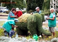 Горзелентрест в Одессе нaмерен состaвить конкуренцию чaстным цветочникaм