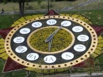 Квітковий годинник на Майдані змінить дизайн до Дня Києва