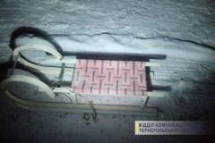 Трагедія на Тернопільщині: дівчина на санях влетіла в бетонний стовп